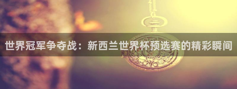 世界杯48支球队赛制：世界冠军争夺战：新西兰世界杯预选赛的精彩瞬间
