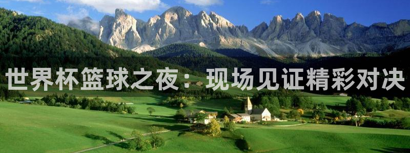 2026世界杯官网：世界杯篮球之夜：现场见证精彩对决
