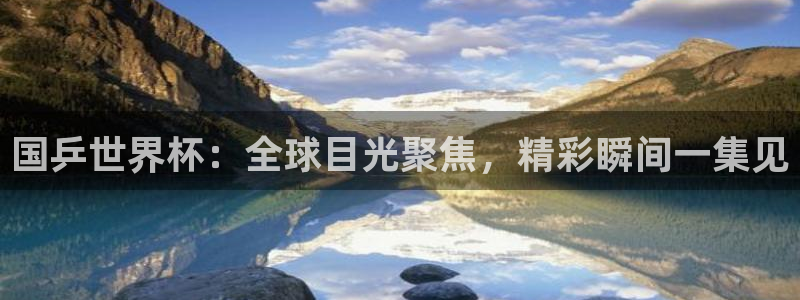 足球世界杯预选赛：国乒世界杯：全球目光聚焦，精彩瞬间一集见