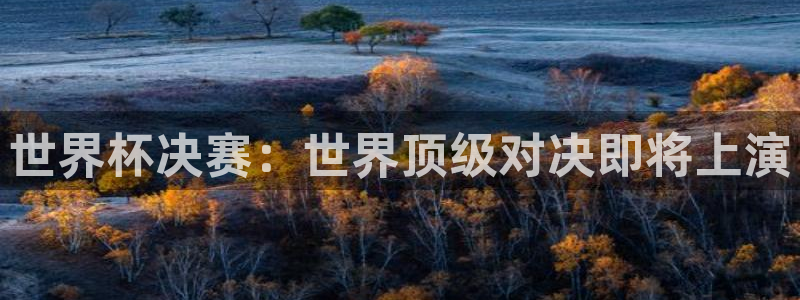 世界杯今日赛程直播：世界杯决赛：世界顶级对决即将上演