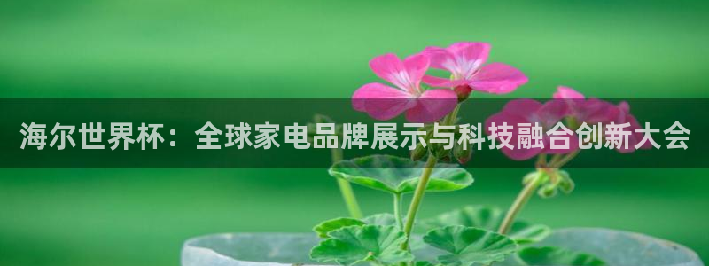 2026世预赛全部赛程：海尔世界杯：全球家电品牌展示与科技融合创新大会