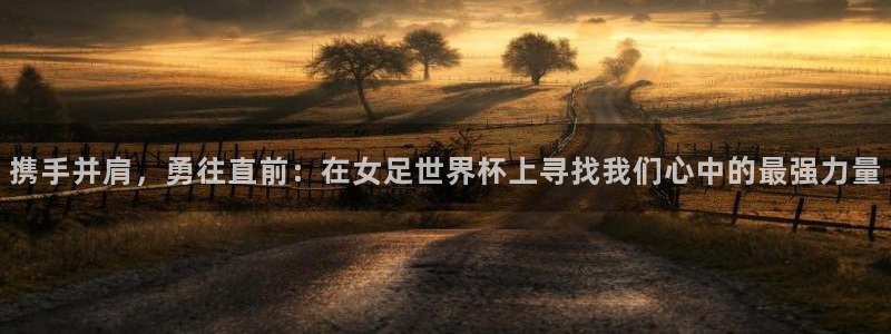 2026世界杯对阵图：携手并肩，勇往直前：在女足世界杯上寻找我们心中的最强力量