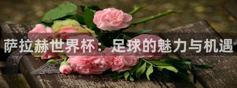 世界杯16强赛程表：萨拉赫世界杯：足球的魅力与机遇