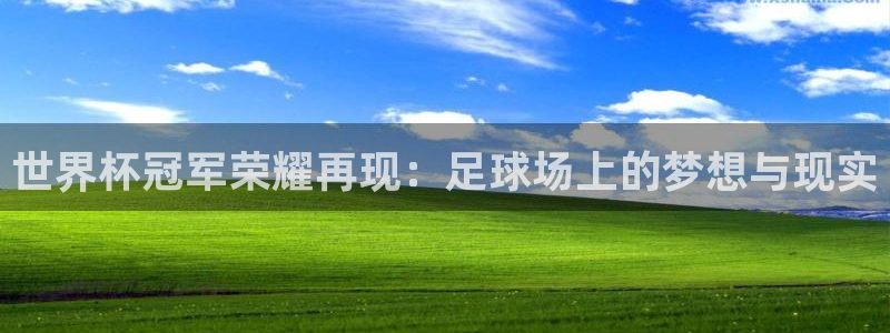 世界杯预选赛规则：世界杯冠军荣耀再现：足球场上的梦想与现实