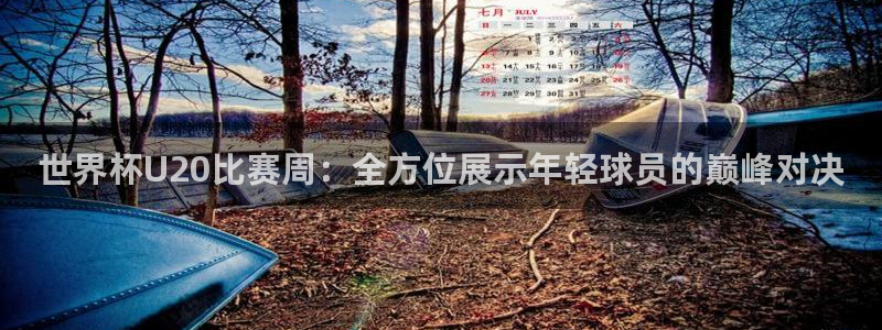 2026世亚预赛赛程表：世界杯U20比赛周：全方位展示年轻球员的巅峰对决