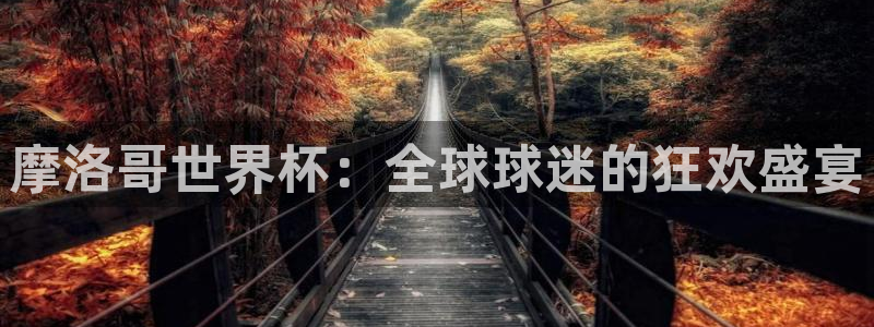世界杯视频：摩洛哥世界杯：全球球迷的狂欢盛宴