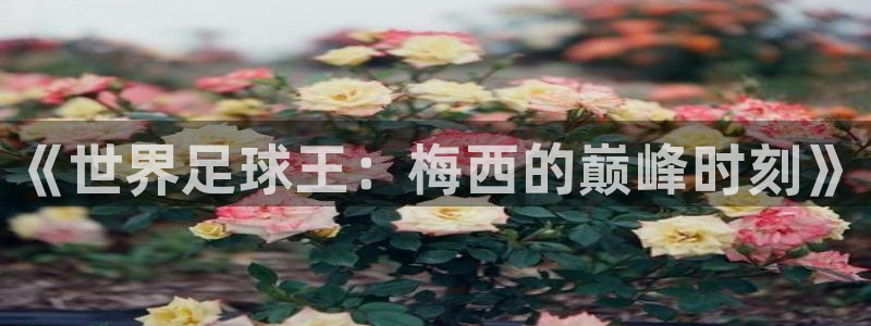足球世预赛：《世界足球王：梅西的巅峰时刻》