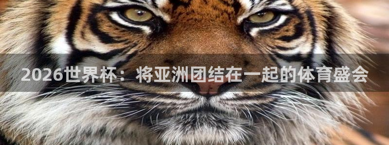 世界杯直播观看：2026世界杯：将亚洲团结在一起的体育盛会