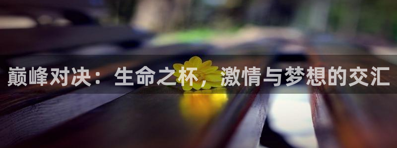 欧联杯直播：巅峰对决：生命之杯，激情与梦想的交汇